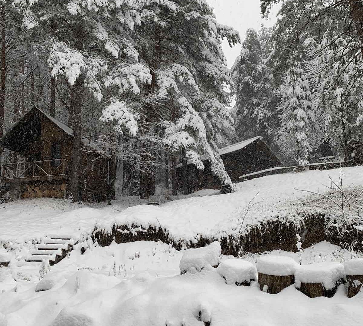 Къща за гости Димови (Dimovi Guest House) - с. Дедово - Пловдив