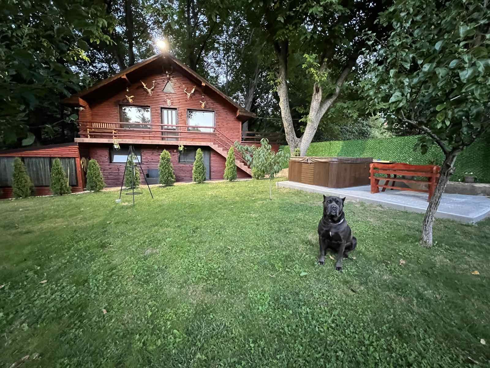 Къща за гости Вила Орехите - село Бистрица - Дупница