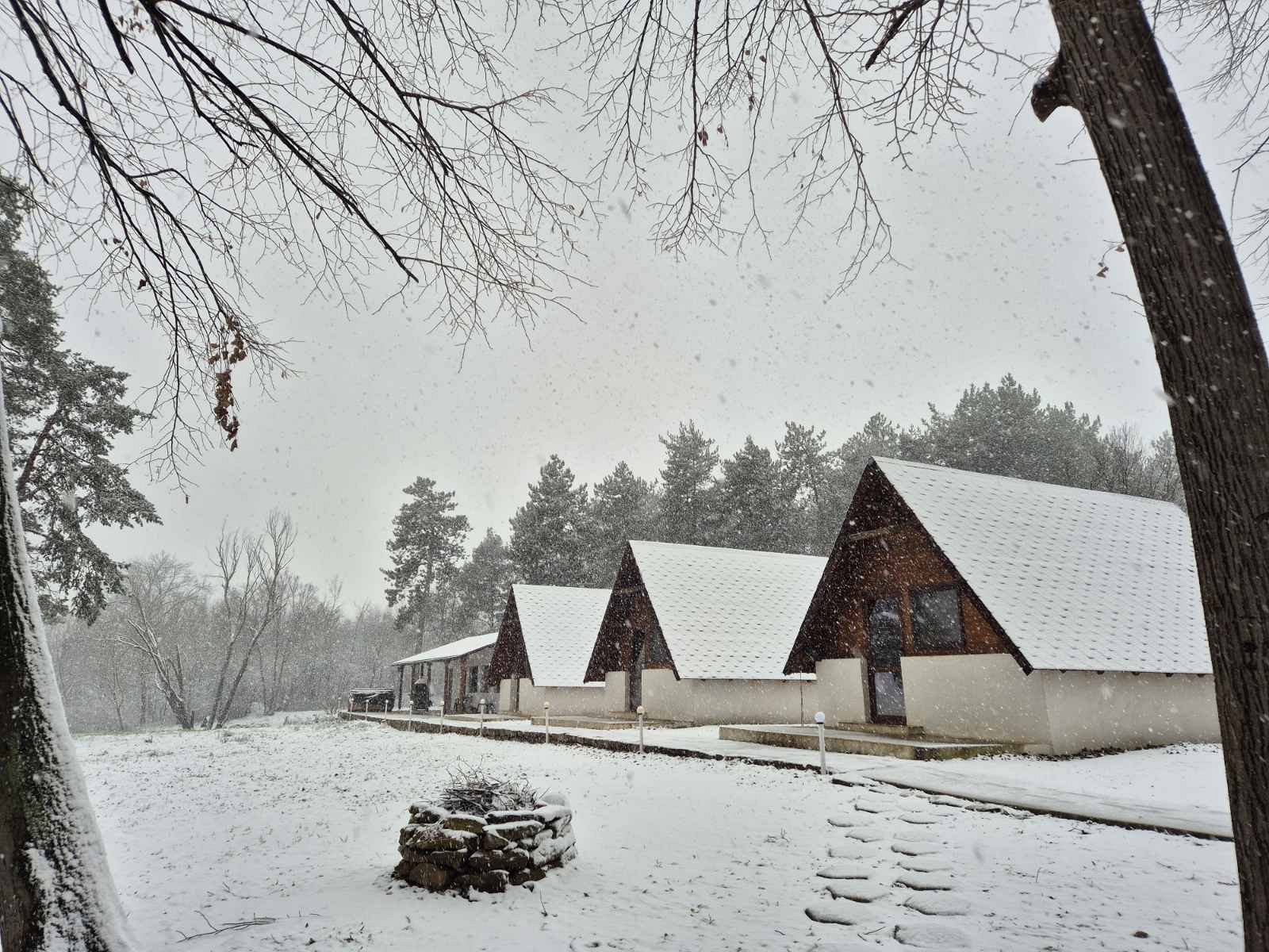 Вили Янкови - яз. Добри дял - Велико Търново