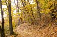 Къща за Горски дом (Арт комплекс) - село Койчовци - Трявна thumbnail 61