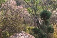 Къща Дени (Deni House) - село Чорул - Драгоман thumbnail 25