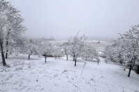 Къща за гости Зорница - село Студена - Перник thumbnail 32
