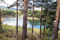 Клуб Paradise Bay (Парадайс Бей) - язовир Искър - София thumbnail 63