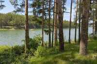 Клуб Paradise Bay (Парадайс Бей) - язовир Искър - София thumbnail 66