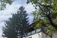 Къща Дени (Deni House) - с. Чорул - Драгоман thumbnail 39