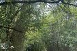 Къща Дени (Deni House) - село Чорул - Драгоман thumbnail 39