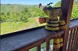 Вила Белият камък - Златоград thumbnail 20