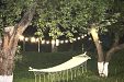Къща за гости Бай Митьо - село Донковци - Елена thumbnail 34