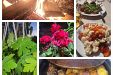 Къща за гости Бай Митьо - село Донковци - Елена thumbnail 35