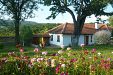 Къща за почивка Йована - село Яковци - Елена thumbnail 4