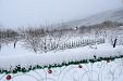 Къща за гости Кала - село Паталеница - Пазарджик thumbnail 43