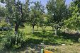 Къща за гости Катерина - село Стан - Шумен thumbnail 43