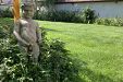 Къща за гости Лизи - село Доспей - Самоков thumbnail 54