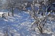 Къща за гости Рафе - Добринище - Банско thumbnail 46