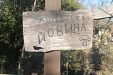 Къща за гости Йовина - село Бели Осъм - Троян thumbnail 79