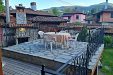 Къща за гости Златният телец - Копривщица thumbnail 59