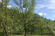 Къща за гости Почивка - село Черни Осъм - Троян thumbnail 69