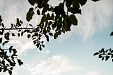 Къща за гости Villa Vilekulla (Вила Вилекула) - село Чуковезер - Драгоман thumbnail 50