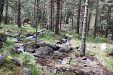Вила Боро - село Бели Искър - Самоков thumbnail 54