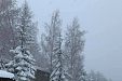 Вила Рай - Мадан thumbnail 76