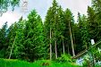 Вила Роял - Сърница - язовир Доспат thumbnail 8