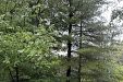 Зала за събития Тихия кът - природен парк Витоша - София thumbnail 48